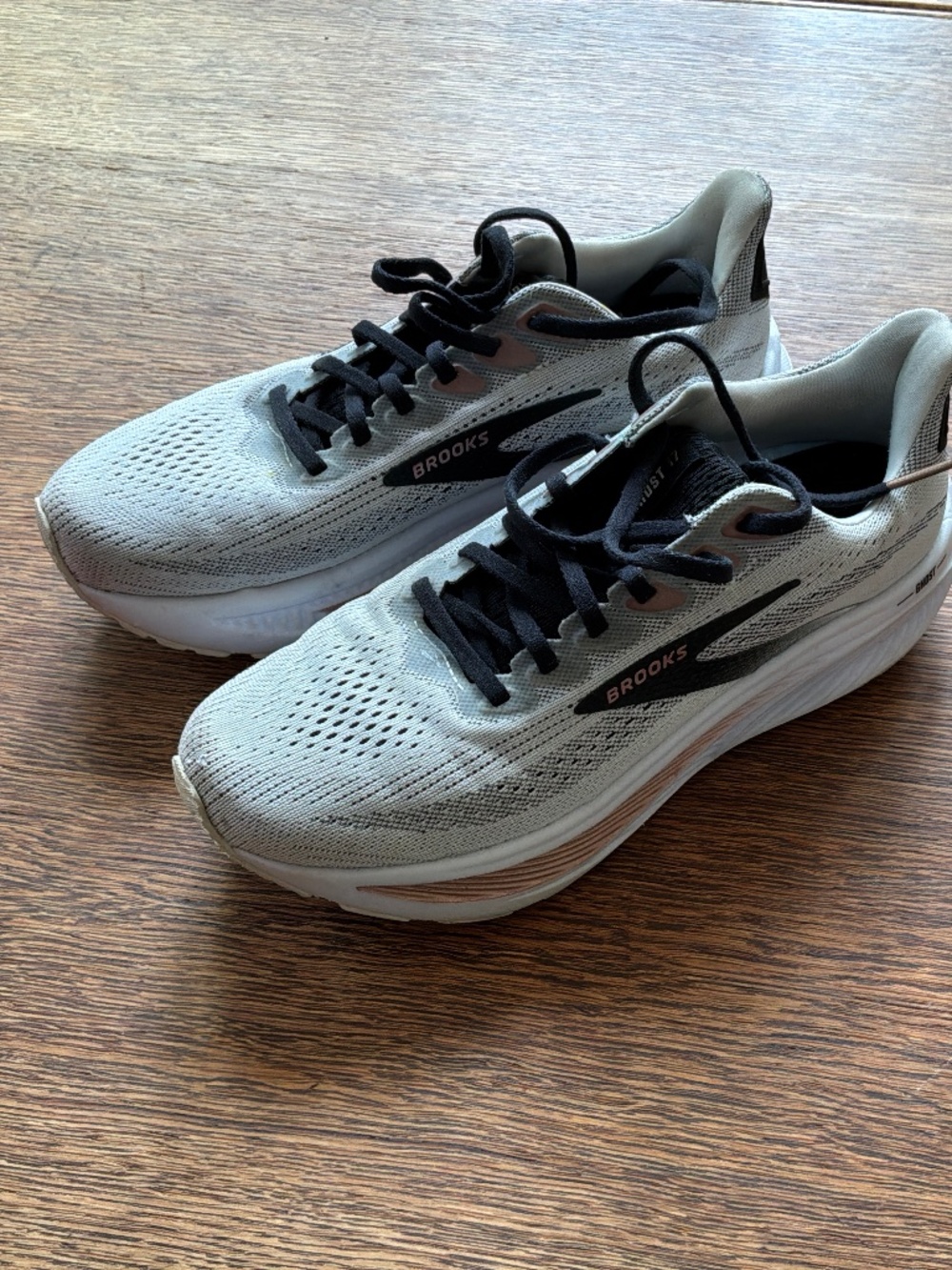 Brooks Ghost 17